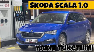 Skoda Scala 10 TSI Yakıt Tüketimi  SivasAnkara Yolculuğu  Otomobil Günlüklerim [upl. by Aduhey]