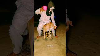 POV WHEN BOY ATTACK ON GHOST HEAD 😱  Hanuman  ghost bhoot comedy hanumanji trending shorts [upl. by Anahsit]