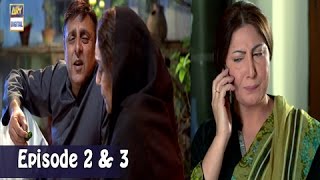 Mubarak Ho Beti Hui Hai  Double Episode  26th April 2017  ARY Digital Drama [upl. by Granese]