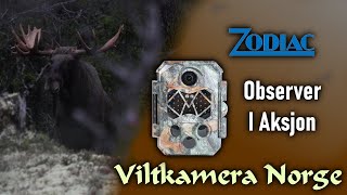 VILTKAMERA I AKSJON  Zodiac Observer [upl. by Anivad937]