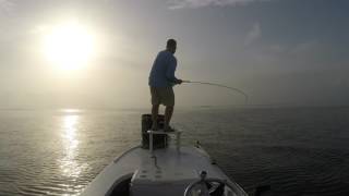 Fly fishing for Tarpon in Homosassa FL 52017 [upl. by Annola]