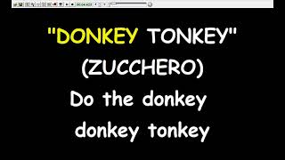 Zucchero  Donkey Tonkey Karaoke Devocalizzata [upl. by Bohun666]