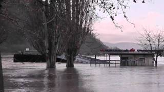 Hochwasser am Mittelrhein in Bacharach Rheinanlagen 16012011 [upl. by Oneida419]