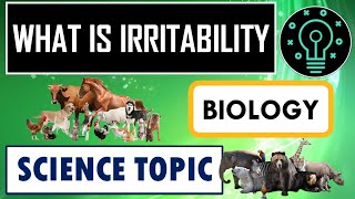 WHAT IS IRRITABILITY  BIOLOGY  SCIENCE  8  TMDA [upl. by Pennington]