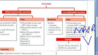 PSM 117 Live attenuated vaccines Killed toxoids Classification Classify [upl. by Alidia]