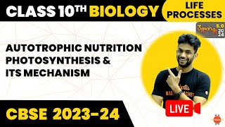 Autotrophic Nutrition Photosynthesis amp its Mechanism Life Process Class10 BiologyVedantu910​ [upl. by Adnorrahs]