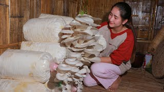 Oyster mushroom grow and cook June plum and Santol fruit soup  Daily lifestyle Cooking with Sros [upl. by Akimal563]