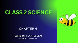 Class 2 Science Notes  Parts of Plants Leaf Ch 6 Short Notes PDF  Grade 2 Science Class Notes App [upl. by Booth]