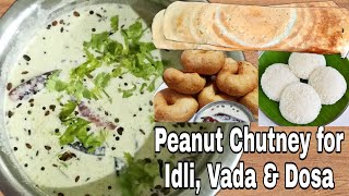 Chutney for Idli Vada amp Dosa  Chutney in 3 Minutes  Simple Peanut Chutney  Quick amp Easy Chutney [upl. by Loella844]