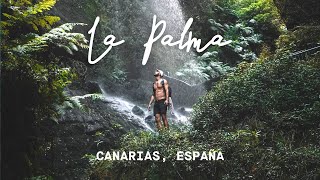 ASÍ ES LA PALMA LA ISLA DE LA QUE TODO EL MUNDO HABLA CANARIAS ESPAÑA 4K  enriquealex [upl. by Burkitt]