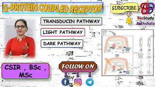 TRANSDUCIN PATHWAY  Cell Communication  Life Sciences  BioStudy Pathshala [upl. by Downall]