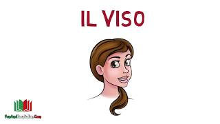 IL VISO lessico italiano [upl. by Messab]