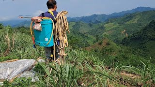 Today two boys went to school alone to spray corn weeds [upl. by Vescuso]