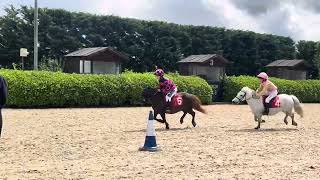 Shetland Pony Grand National  2024 Duble amp Florence [upl. by Misha]