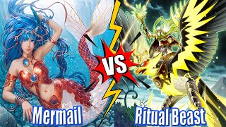 Mermail Atlantean vs Ritual Beast  High Rated DB YuGiOh 2024 [upl. by North]