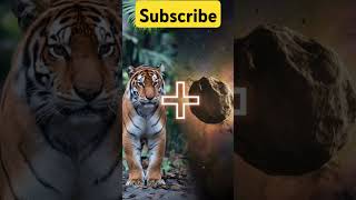 Viewers HYBRIDS ideas hybrids animals fusion shorts trending [upl. by Wey644]