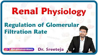 Regulation of Glomerular Filtration Rate  Physiology USMLE Step 1 [upl. by Lledraw60]