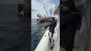 Tossing a dead dogfish shark next to a dragger and hooking a GIANT bluefin tuna fishing nature [upl. by Elak]