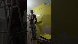 Wall painting colour home painting shorts [upl. by Eliathas658]