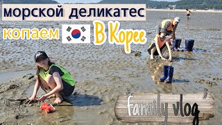 Один счастливый выходной с семьёй в Корее  KOREA VLOG [upl. by Gleich]