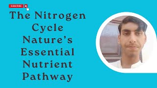 The Nitrogen Cycle Nature’s Essential Nutrient Pathway [upl. by Slack]