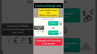 Fixed exchange rate in economics  FIXED EXCHANGE RATE  youtubeshorts [upl. by Lleihsad]