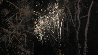 Fireworks dussehra 2024 melbourne youtubeshorts viralvideo Fireworks shortsvideo ytshorts [upl. by Fletch93]