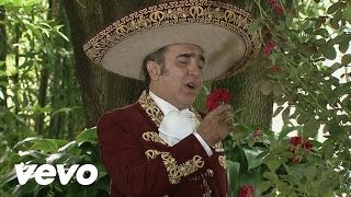 Vicente Fernández Hijo  Desde Que Tú Te Fuiste [upl. by Trin196]