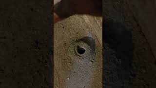 Hammer Drill vs 12 Inch hole on Concrete [upl. by Bigner91]