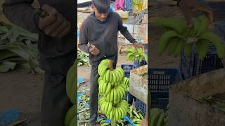 Part 19 Bag wala Kala cutting 🔪 Banana lodging youtubeshorts agriculture food [upl. by Lanor]