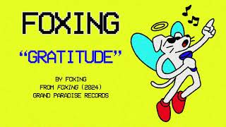 Foxing  Gratitude Official Lyric Video [upl. by Ellicec]