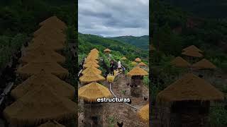 gallinas alimentadas por transporte en rieles shorts [upl. by Naitsirhk]