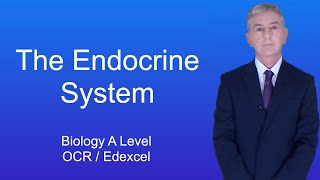 A Level Biology Revision Year 13 quotThe Endocrine Systemquot [upl. by Attah]