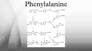 Phenylalanine [upl. by Sherill957]