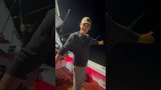 Yellowfin tuna released tuna fishing fish ocean outdoors seafood [upl. by Ozkum848]