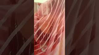 pink gota Patti designer saree [upl. by Bogey975]