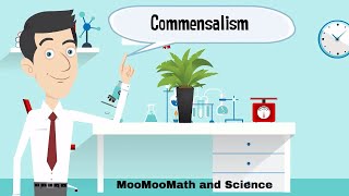 Examples of Commensalism [upl. by Adnael]