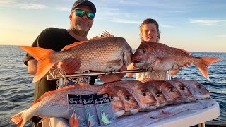 Snapper Season  Lets Make it Awesome Again Australiansnapper fishing [upl. by Mines]