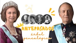 ¡ESTO NO LO ESPERABAS  LOS ANTEPASADOS DE JUAN CARLOS Y SOFÍA [upl. by Hgielar573]