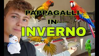 come TENERE i PAPPAGALLI in INVERNO [upl. by Akili]