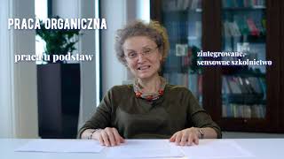 5 Literatura polska epoki pozytywizmu i Młodej Polski cz 1  dr hab Beata ObsulewiczNiwińska [upl. by Merwin856]