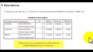 SPSS DESCRIPTIVOS AGRUPADOS POR CASOS [upl. by Ayotal]