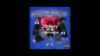 3BreezyAntisocial Lyrics [upl. by Bremen]