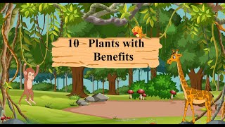 Environmental Trail Book 4  Chapter 10  Plants with Benefits [upl. by Peacock]