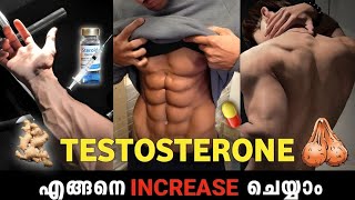 Testosterone 🍆 🧬Level Increase Naturally  Malayalam 🔱🔥 [upl. by Adnohryt955]