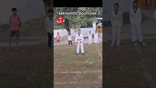 Taekwondo poomsae 3 poomsae taekwondotrainning youtubeshorts taekwondo viralvideo tkdsupriya [upl. by Athiste499]