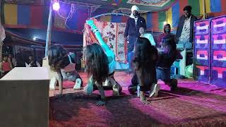 Gajab ka group dance 💃  bhojpuri viralvideo dance [upl. by Xylina177]