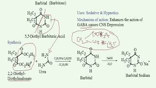 Synthesis of Barbital With reaction mechanisms Medicinal Chemistry GPAT NIPER etc [upl. by Nal912]