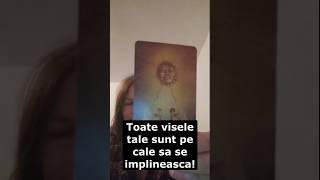 1111 Dacă vezi asta este un semn tarot discutii 2decembrie [upl. by Amehr]