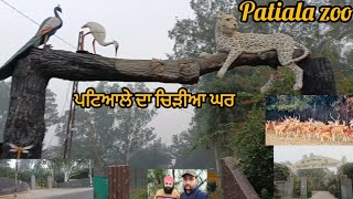 Patiala Zoo 🐊 🐓 🦢 🦩 Deer 🦌 Park Patiala  ਪਟਿਆਲੇ ਦਾ ਚਿੜੀਆਂ ਘਰ  patiala  harjeet vlog patiala [upl. by Zined]